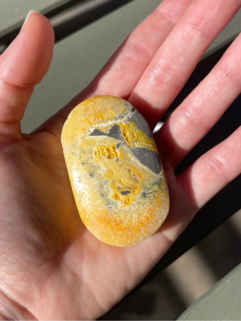 Bumblebee Jasper Palm Sized Stone Yellow and Gray